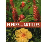 Fleurs des antilles
