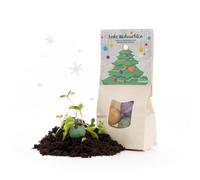 Fleurs d'hiver « Joyeux Noël » - Marbles de fleurs colorées de Die Stadtgärtner | Boules de graines colorées | Idéal comme petit cadeau ou petit cadeau pour Noël, la Saint-Nicolas ou pour le