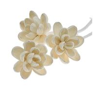 Fleurs Diffuseurs Aromathérapie Roseau De Bois De Bois Décoratif Aromathérapie Placement De Fleur Recharge en Bois Fleur Diffuseur avec Corde