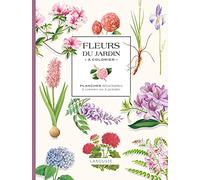 Fleurs du jardin à colorier