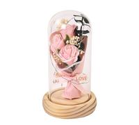 Fleurs en conserve - Under Glass, Beauty and The Beast Flowers | Beauty and the Beast Faits main Brille dans un dôme en verre, fleur romantique artificielle Valentines Rose en soie rouge pour femme