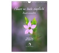Fleurs en toute simplicité - Beauté minimaliste (Calendrier mural 2026 DIN A4 horizontal), CALVENDO calendrier mensuel: Un calendrier délicat et ... pour douze mois de beauté minimaliste.