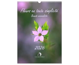 Fleurs en toute simplicité - Beauté minimaliste (Calendrier mural 2027 DIN A3 horizontal), CALVENDO calendrier mensuel: Un calendrier délicat et ... pour douze mois de beauté minimaliste.