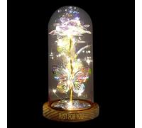 Fleurs en verre avec tiges - Lumière éternelle artificielle | Rose colorée dans un dôme en verre avec lumière - Pour salon, chambre à coucher, maison, femmes, filles, grand-mère, vacances, fête des