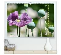 Fleurs enchanteresses calendrier mural h: Decouvrez la beaute de la natu