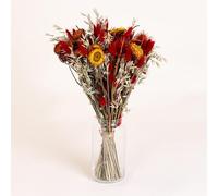 Fleurs et Délices - Bouquet de Fleurs Séchées Orée du Bois avec Vase - Hélichrysum, Chardon, Lagurus et Avoine - Tons Rouge, Orange Brûlé et Crème - Composition Naturelle