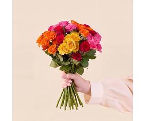 Fleurs et Délices - Brassée de Roses Multicolores Max Havelaar - Fleurs Fraîches - Très Grand Bouquet, Commerce Équitable Fairtrade, Cadeau d’Exception pour Anniversaire ou Saint-Valentin, 60 Tiges