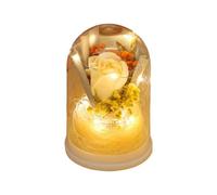Fleurs Éternelles - Bouquet de Roses Immortelles avec LED en Verre | Lumière Nuit Romantique Élégante | Décoration Poétique et Cadeau Symbolique for Anniversaire Noël Elle