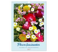 Fleurs fascinantes aux couleurs vives (Calendrier mural 2027 DIN A4 horizontal), CALVENDO calendrier mensuel: Un beau et rayonnant plaisir pour les yeux