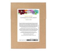 Fleurs grimpante - kit de graines avec 3 variétés de plantes grimpantes annuelles, multicolores et luxuriantes