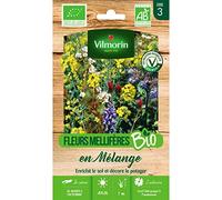 Sachet graines Fleurs Mellifères en mélange pour engrais vert BIO-