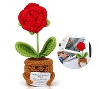 Fleurs positives Roses Petite Main Belle Que Vous Êtes Retour Cadeau De Graduation Bienvenue Back Cadeau 1er Jour ouvrable Nouvel Emploi Bon Rétablissement Cadeaux Enfants Objets Contre L'ennui Petit