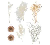 Fleurs Pressées DIY pour Résine, Mini Fleurs Séchées Blanches
