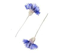 Fleurs Pressées SéChées 60 pièces de bleuet bleu naturel pressé séché avec des tiges fleurs plantes herbier for bijoux carte postale étui de téléphone signet artisanat Feuille De Fleurs Pressées