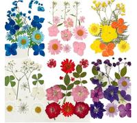 Fleurs Pressées Séchées 72 pièces Fleurs séchées Naturelles Herbes Multicolores Fleur Séchées à Ongles Naturelles en Vrac Kit pour Scrapbooking DIY Artisanat Bijoux Bougies Savon Décoration d'Ongles