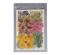 Fleurs pressées séchées Naturelles 13 Types 100 pcs Fleurs sèches pour Les Bijoux de Bricolage Bijoux Faisant du Scrapbooking en résine décorations de Mariage 19x27cm