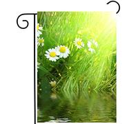 Fleurs Printanières Et Estivales, Marguerites Dans L'Herbe Verte Près D'Un Étang De Prairie Drapeaux Décoratif Garden Flag Résistant Drapeau De Jardin Pour Porche Balcon Cour 30X45Cm