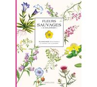 Collectif – Fleurs sauvages à colorier – Planches détachables à colorier/peindre – Larousse – broché