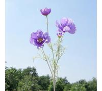 Fleurs sauvages artificielles, fleurs cosmos en soie, marguerites artificielles en soie, pour décoration de maison, cuisine, jardin (violet)