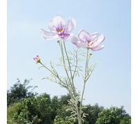 Fleurs sauvages artificielles, fleurs cosmos en soie, marguerites artificielles en soie, pour décoration de maison, cuisine, jardin (violet clair)