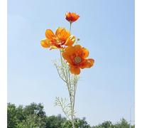 Fleurs sauvages artificielles, fleurs cosmos en soie, marguerites artificielles en soie, pour décoration de maison, cuisine, jardin (orange)