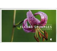 Fleurs sauvages des Cévennes