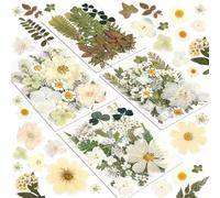 Fleurs Séchées, 100 Pièces Blanc Fleurs Pressées pour Résine,Savon,Bougie,Scrapbooking & Cartes-Kit de Fleurs et Feuilles Naturelles Séchées pour Bricolage,Artisanat & Décoration
