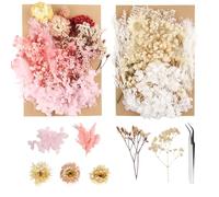 Fleurs Séchées 2 Pièces Petites Fleur Seche Naturelles Décorations Fleur Sechees pour Resine Epoxy Con Pinzetta pour Cartes de Voeux Scrapbooking Cadre Photo