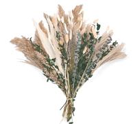 Fleurs séchées, Bouquet bohème d'herbe de la Pampa, Fleurs séchées, queues de Lapin, Fleurs séchées pour Vase, pour la décoration de Votre Maison, Chambre et Salon (Style 1)