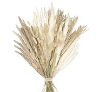 Fleurs séchées, Bouquet bohème d'herbe de la Pampa, Fleurs séchées, queues de Lapin, Fleurs séchées pour Vase, pour la décoration de Votre Maison, Chambre et Salon (Style 4)