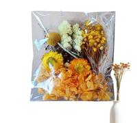 Fleurs séchées - Bouquet en Vrac pour Vase, kit de Bricolage Floral | Arrangements naturels pour décoration, Moulage en résine, création de Bougies, Cadres Photo, Scrapbooking, Art Fait Main