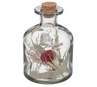 Atmosphera - Fleurs séchées en Bouteille H11 cm - Rouge