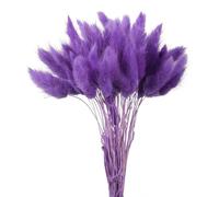 Fleurs séchées de queues de lapin,Queue de lapin naturelle, 20 pièces, 45cm, fleurs séchées colorées, Bouquets de queues de lapin, accessoire Photo, décoration de mariage à domicile, violet foncé