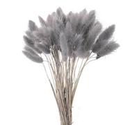 Fleurs séchées de queues de lapin,Queue de lapin naturelle, 50 pièces, 45cm, herbe, fleurs séchées colorées, Bouquets de queues de lapin, accessoire Photo, décoration de mariage à domicile, gris