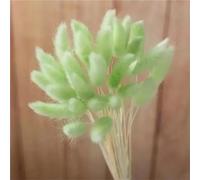 Fleurs séchées de queues de lapin,Queues de lapin en herbe, 60 pièces, 45cm, décoration de mariage, Bouquet de fleurs séchées, naturel, style Boho, accessoires Photo pour la maison, décor vert
