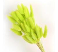 Fleurs séchées de queues de lapin,Queues de lapin séchées, 60 pièces, 45cm, fleurs pour décoration de Vase de maison, queue de lapin des marais secs naturels, herbe, Arrangement de mariage, vert