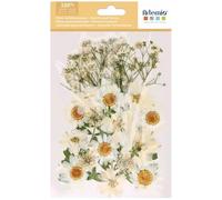 Fleurs séchées et pressées - Blanches - 28 pcs