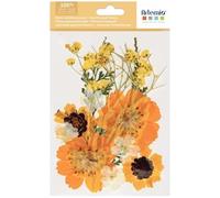 Fleurs séchées et pressées - Jaunes - 12 pcs