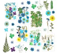 Fleurs Séchées et Pressées pour Résine Epoxy, Nail Art, Scrapbook - Bleu