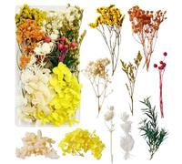 Fleurs Séchées Fleur Sechees Decoration Fleurs Sechees Naturelles Fleurs Sechees Fleurs Séchées pour Resine Epoxy Vraies Fleurs Pressées Séchées pour la Décoration de Bricolage (Jaune)