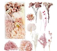 Fleurs Séchées Fleur Sechees Decoration Fleurs Sechees Naturelles Fleurs Sechees Vraies Fleurs Pressées Séchées et de Feuilles Séchées Naturelles pour la Décoration de Bricolage (Rose)