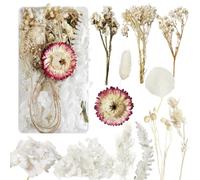 Fleurs Séchées Fleur Sechees Decoration Fleurs Sechees Naturelles Fleurs Sechees Vraies Fleurs Pressées Séchées et de Feuilles Séchées Naturelles pour la Décoration de Bricolage (Blanc)