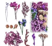 Fleurs Séchées Fleur Sechees Decoration Fleurs Sechees Naturelles Fleurs Sechees Vraies Fleurs Pressées Séchées et de Feuilles Séchées Naturelles pour la Décoration de Bricolage (Violet)