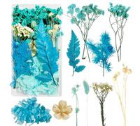 Fleurs Séchées Fleur Sechees Decoration Fleurs Sechees Naturelles Fleurs Sechees Vraies Fleurs Pressées Séchées et de Feuilles Séchées Naturelles pour la Décoration de Bricolage (Bleu)