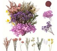 Fleurs séchées, fleurs séchées, fleurs séchées pour l'artisanat, mini fleurs séchées, set de fleurs séchées pour les accessoires de scrapbooking en résine époxy DIY, décoration maison artisanale, mari