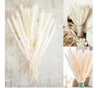 Fleurs Séchées - GH - 30PCS - 50cm - Beige - Naturelles et Non Toxiques