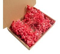 Fleurs Séchées Gypsophile,100 Pièces de Fleurs Pressées Séchées Gypsophile pour Accessoires D'invitation de Mariage,Marque-page,Fournitures de Fabrication de Bougies