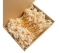 Fleurs Séchées Gypsophile,100 Pièces de Fleurs Pressées Séchées Gypsophile pour Accessoires D'invitation de Mariage,Marque-page,Fournitures de Fabrication de Bougies