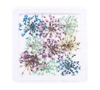 Fleurs séchées japonaises pour décoration d'ongles, fournitures d'art pour mariages quotidiens