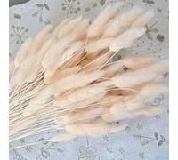 Fleurs séchées Lagurus ovatus Rose pâle, Mini Herbe de Pampa Queue de Lapin Naturel Bouquet Vintage pour Décoration de Mariage (Rose)